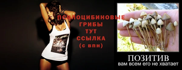 ГАЛЛЮЦИНОГЕННЫЕ ГРИБЫ Пролетарск