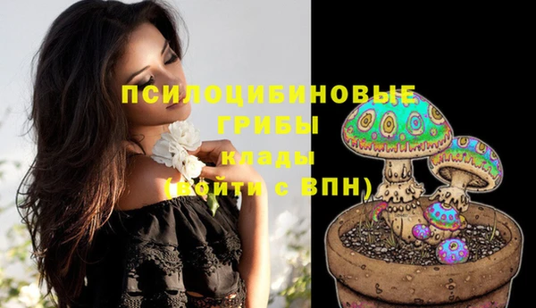 ECSTASY Приозерск