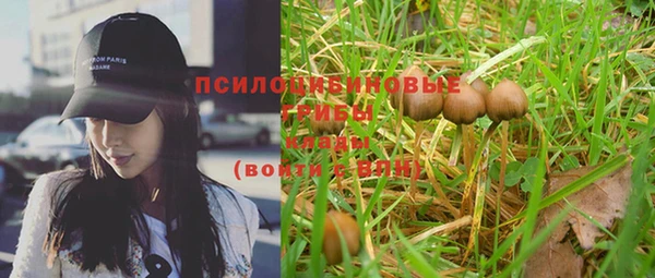 ГАЛЛЮЦИНОГЕННЫЕ ГРИБЫ Пролетарск