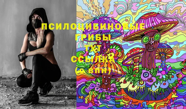 ECSTASY Приозерск