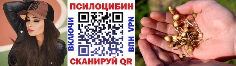 Купить где  Саратов  Псилоцибиновые грибы мухоморы 